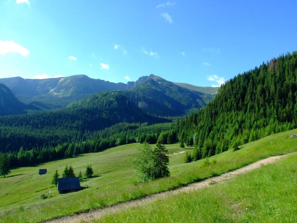 Hotel Gorski Kalatowki Zakopane Esterno foto